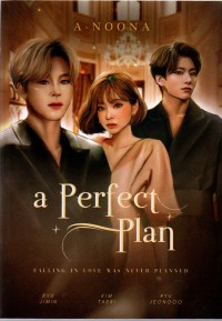 a perfect plan