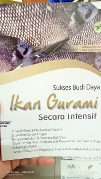 Sukses budidaya ikan gurami secara intensif