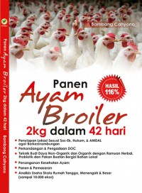 panen ayam broiler