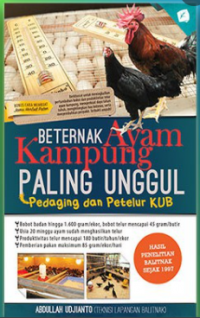 berternak ayam kampung paling unggul pendaging dan petelur KUB