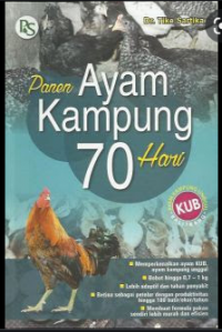 panen ayam kampung 70 hari